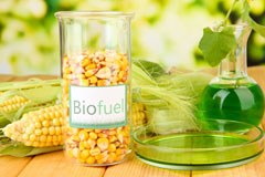 Brassey Green biofuel availability